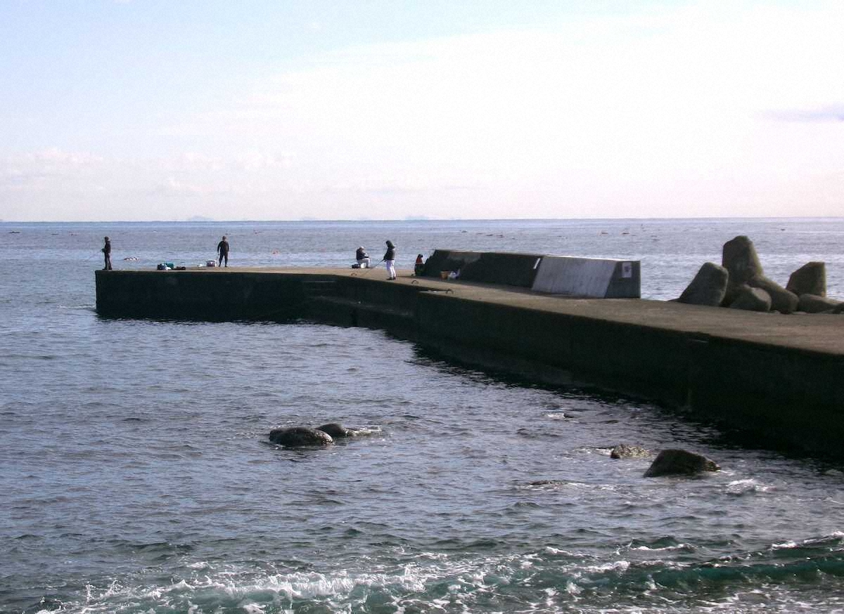 【画像・写真】冬でもアツい！！35センチメジナ　神奈川県西湖の米神堤防、江之浦堤防