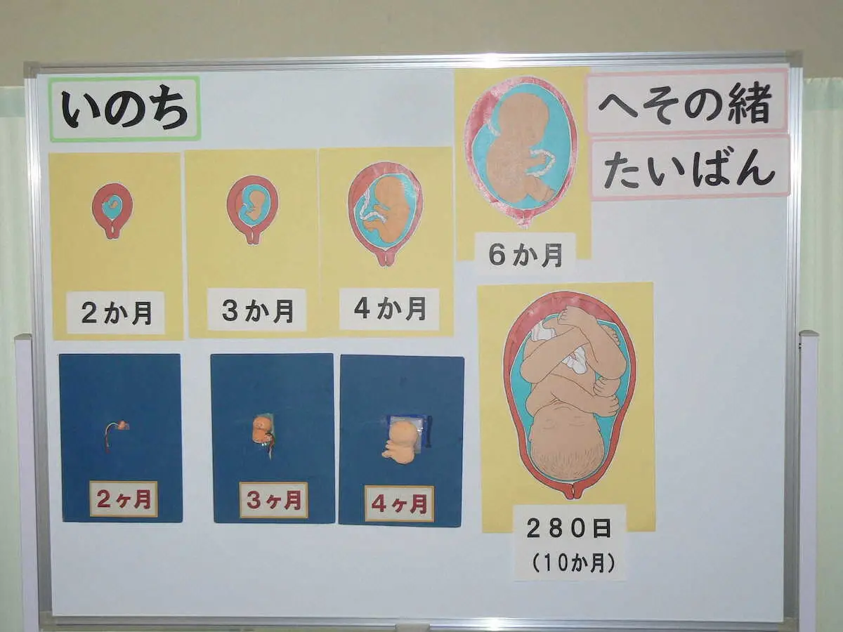 【画像・写真】ゲンキのたからばこ第10回「命（いのち）とは何か」