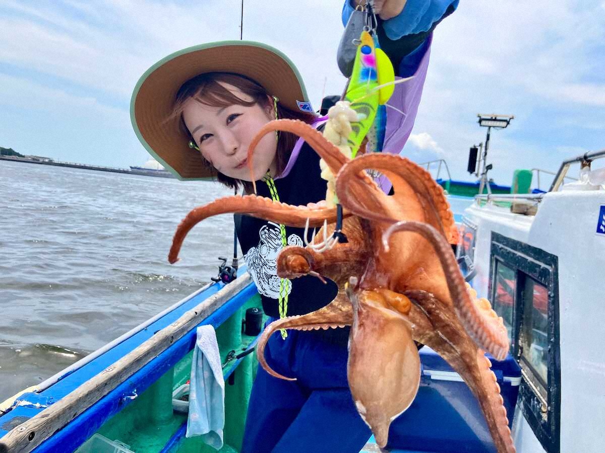 【画像・写真】“シャイガール”に腕躍らせ…マダコ3匹