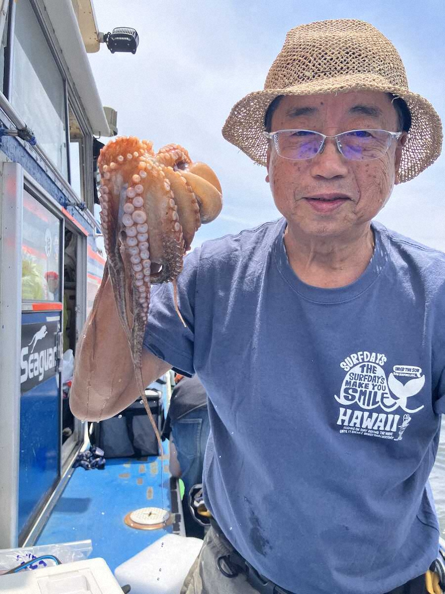 【画像・写真】“シャイガール”に腕躍らせ…マダコ3匹