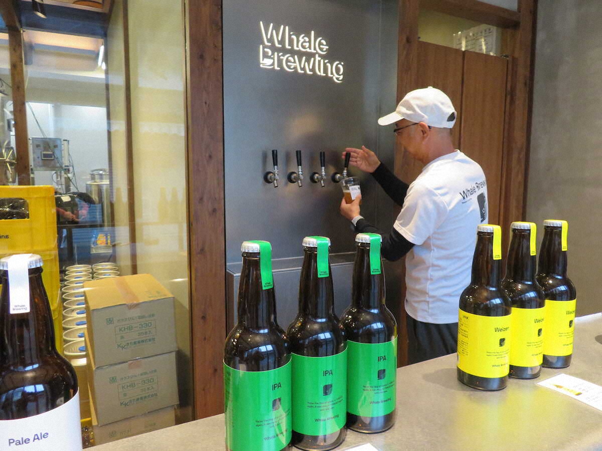 【画像・写真】【佐賀・唐津】衝撃のおいしさ！コリコリ絶品「呼子のイカ」に舌鼓　食後は七ツ釜洞窟へ絶景クルーズ