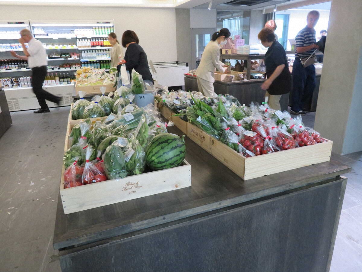 【画像・写真】【静岡・伊豆】観光、防災機能兼備の複合施設オープン　地元グルメ満喫、絶品ソフトクリームも！