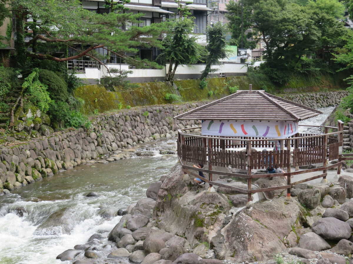 【画像・写真】【静岡・伊豆】天城山の清流が育てた名産わさび　1500枚「筏場のわさび田」は圧巻の美しさ