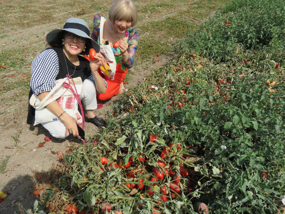 【画像・写真】【南イタリア】太陽の国で味わう真っ赤なトマト　絶品マルゲリータに思わず「ボーノ！」