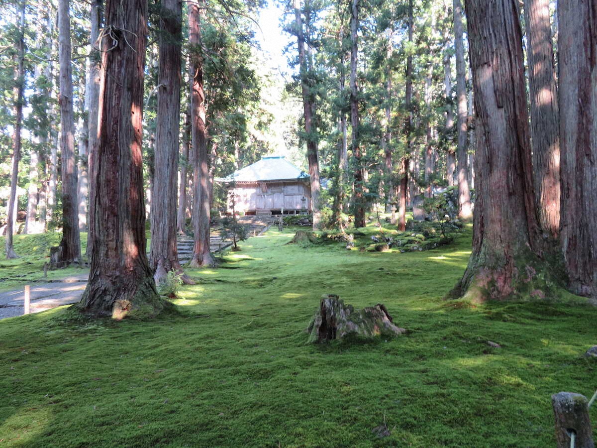 【画像・写真】【福井】別世界…平泉寺白山神社で苔の美を堪能　東尋坊ではド迫力断崖絶壁に圧倒