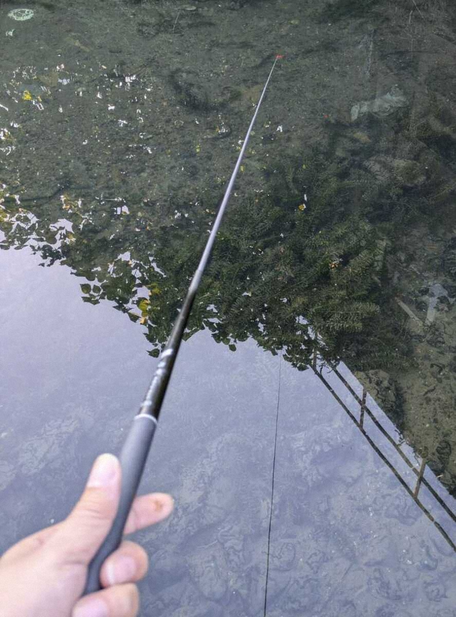 【画像・写真】幼少期の“憧れ”カネヒラを求めて　最凶ゲストの妨害も目標半分達成　滋賀県・琵琶湖