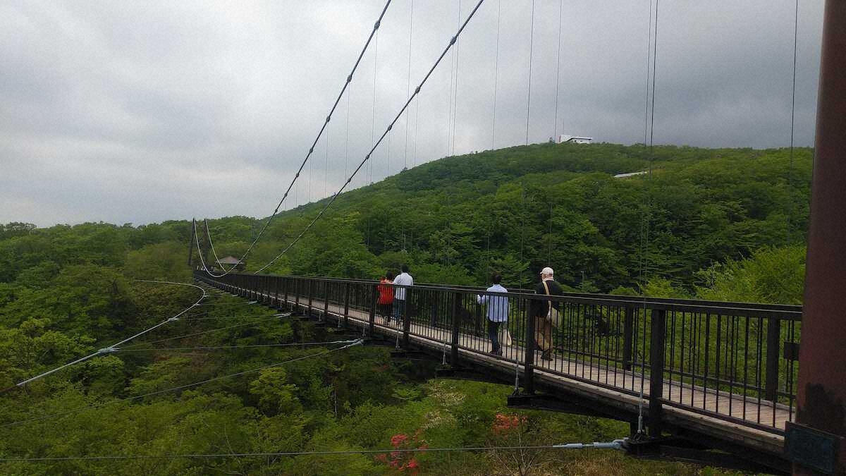 【画像・写真】【栃木・那須】“穴場”のつつじ吊橋でプチスリル体感　渡る途中で下を見ると…