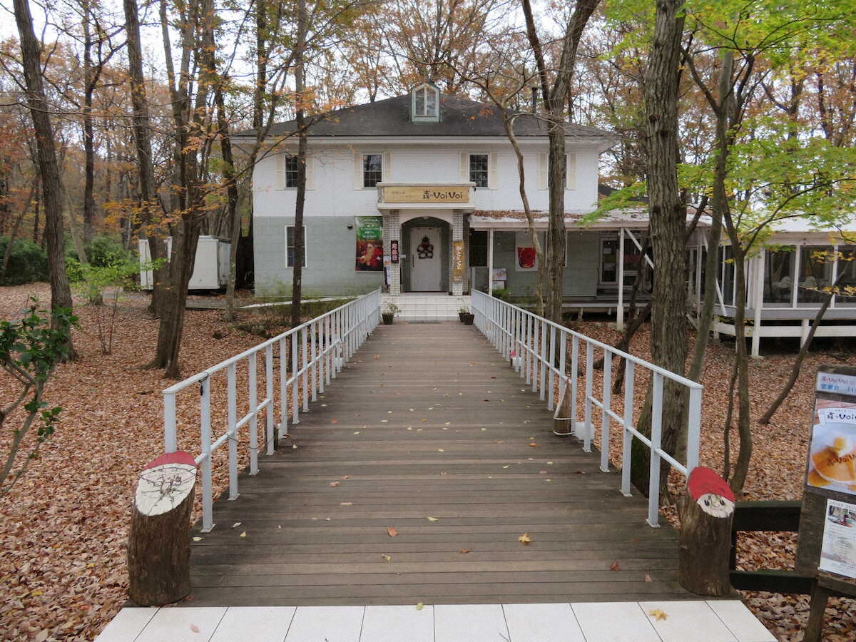 【画像・写真】【栃木・那須】クリスマスは北欧ムードで！サンタに会えるフィンランドの森、とろとろ絶品チーズ料理も