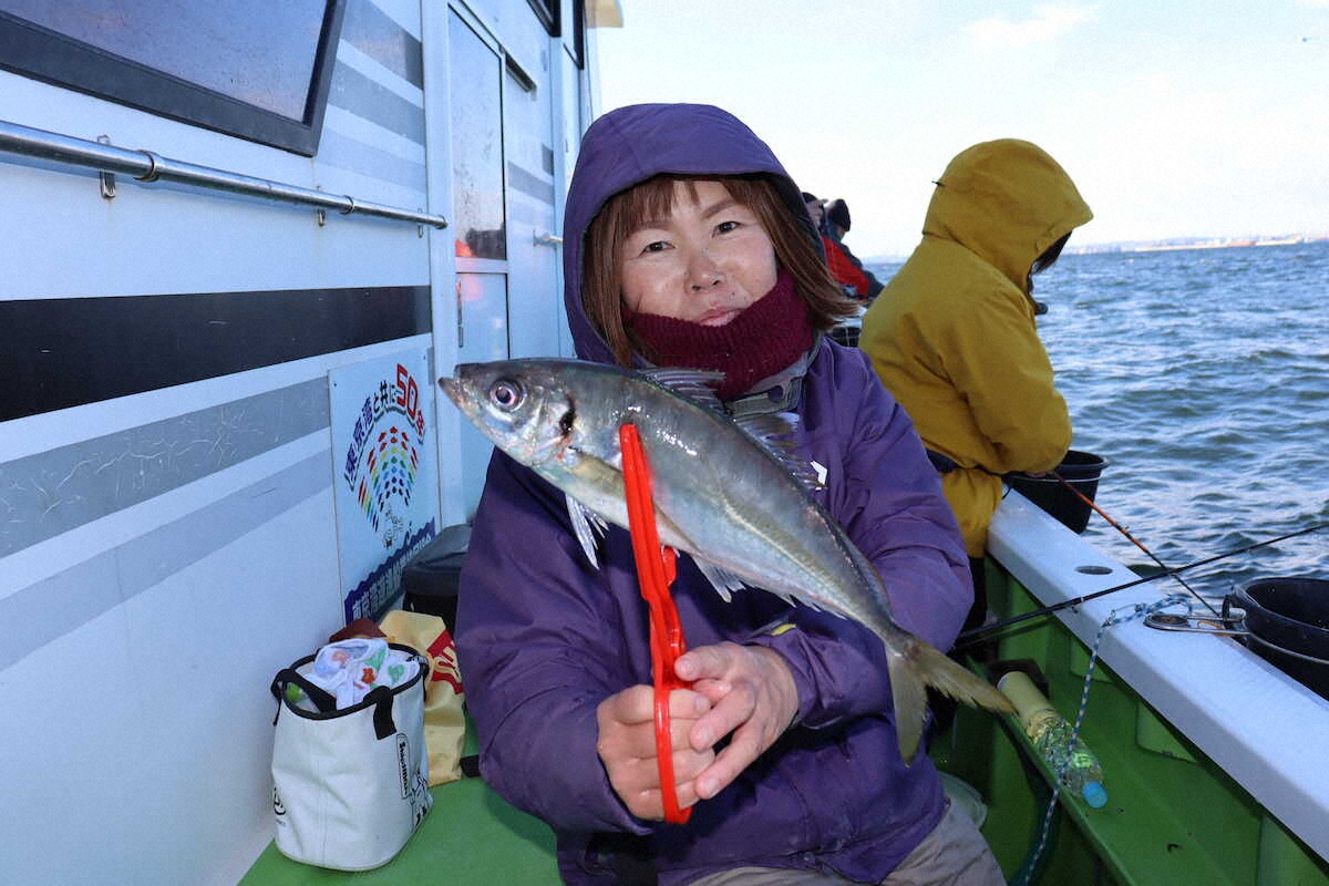【画像・写真】「釣り味」「食味」抜群マアジ　東京湾、LTでビギナーも常連も大満足　東京・葛西橋「第二泉水」