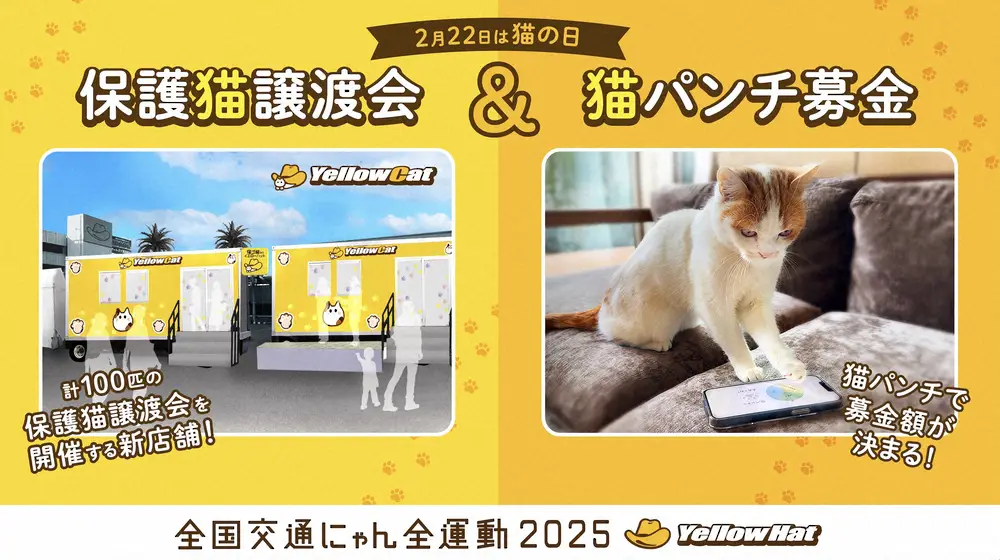 【画像・写真】イエローハットが開催する保護猫譲渡会＆猫パンチ募金