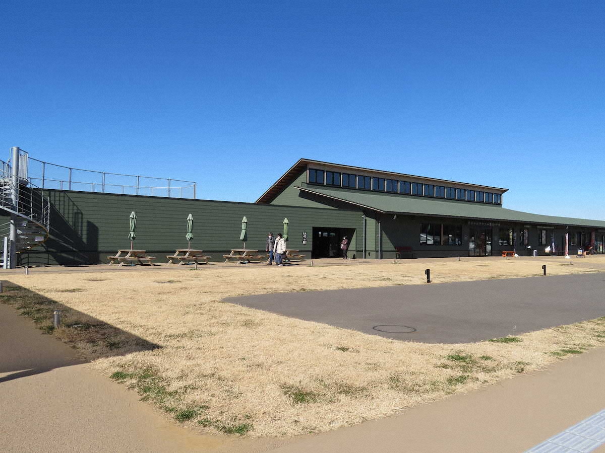 【画像・写真】【千葉】採れたて野菜＆果物ズラリ！館山の旬の味がそろう道の駅　人気のジビエ料理も