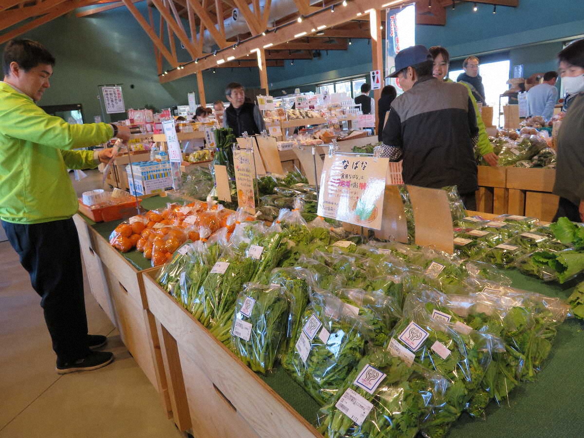 【画像・写真】【千葉】採れたて野菜＆果物ズラリ！館山の旬の味がそろう道の駅　人気のジビエ料理も