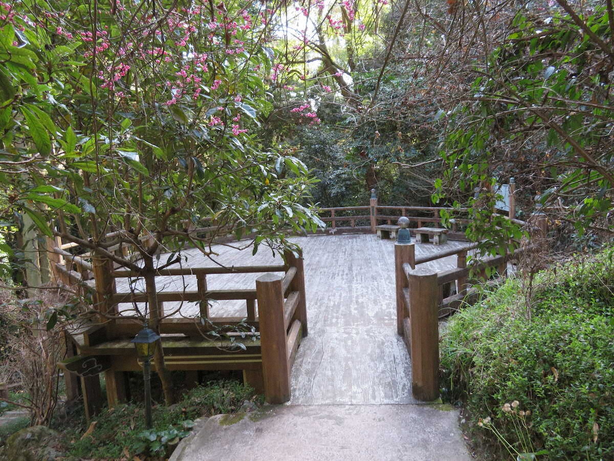 【画像・写真】【千葉】映画でも注目「八犬伝」ゆかりの地を訪ねて…伏姫と八房がこもった洞窟で幻想的な世界に浸る