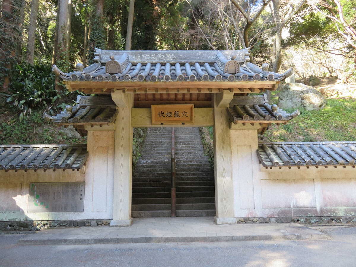 【画像・写真】【千葉】映画でも注目「八犬伝」ゆかりの地を訪ねて…伏姫と八房がこもった洞窟で幻想的な世界に浸る