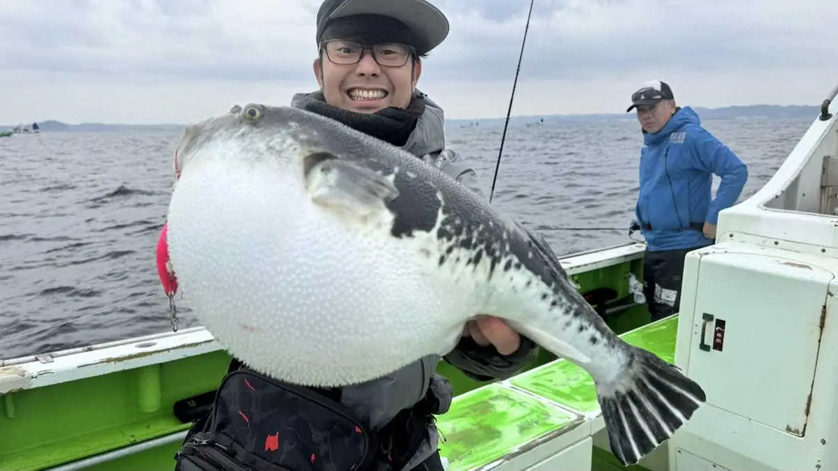 Unveiling Tokyo Bay’s Unique Wildlife: From Basketball-Sized Tuna Pufferfish to Comedic Spirits!