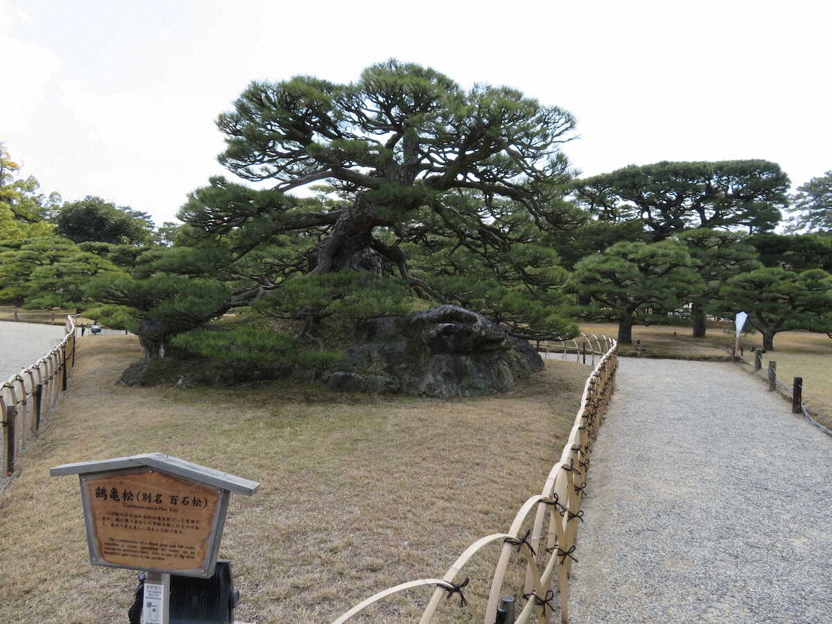 【画像・写真】【香川】ミシュラン三つ星のお墨付き　栗林公園で松＆池のコラボ堪能