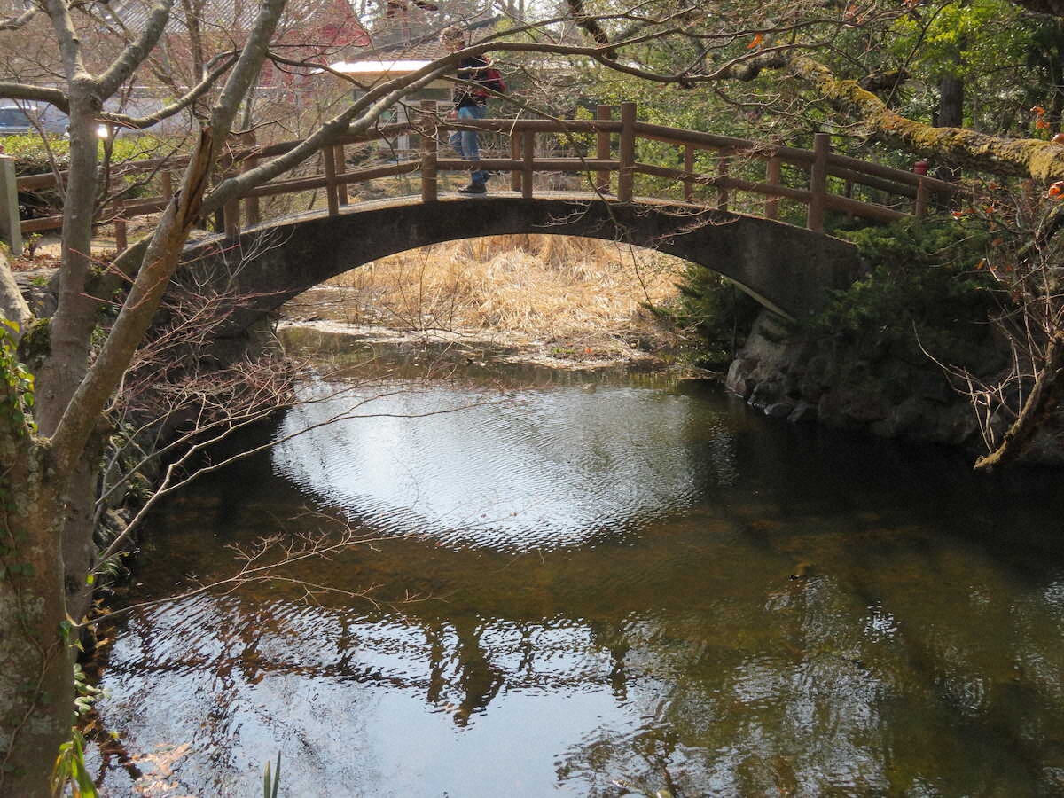 【画像・写真】【香川】源平の古戦場・屋島に新名所続々！やしまーるで瀬戸内海の絶景にうっとり