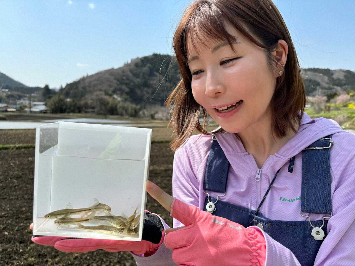 【画像・写真】可愛いホンモロコ、夢中で10匹　手軽に楽しめる“メダカのテーマパーク”　栃木県那珂川町「大鳥メダカ」