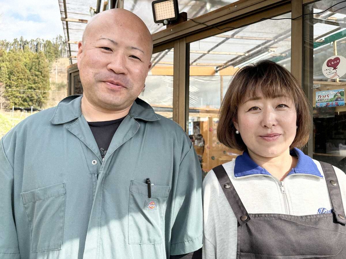 【画像・写真】可愛いホンモロコ、夢中で10匹　手軽に楽しめる“メダカのテーマパーク”　栃木県那珂川町「大鳥メダカ」