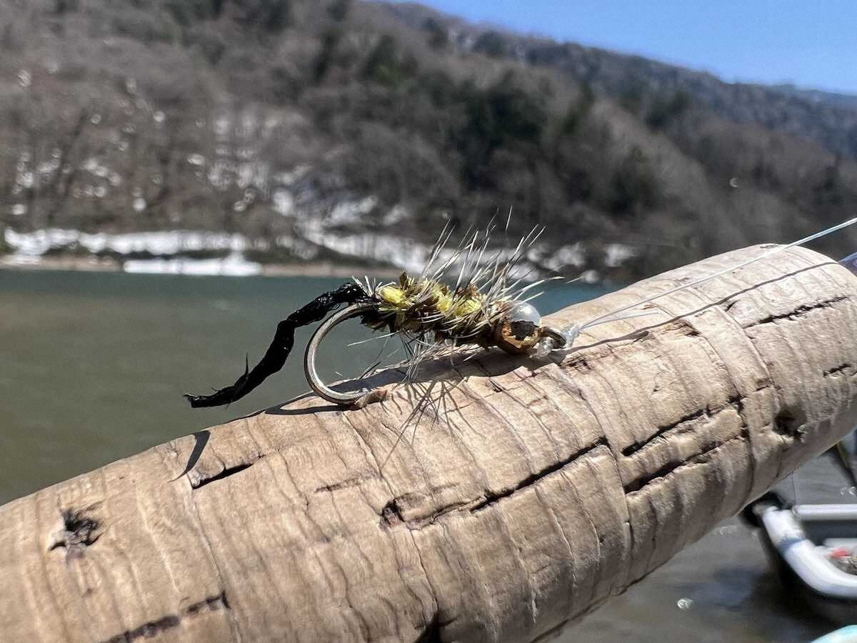 【画像・写真】年に一度のビッグチャンス!!レインボートラウト　51センチGET!!