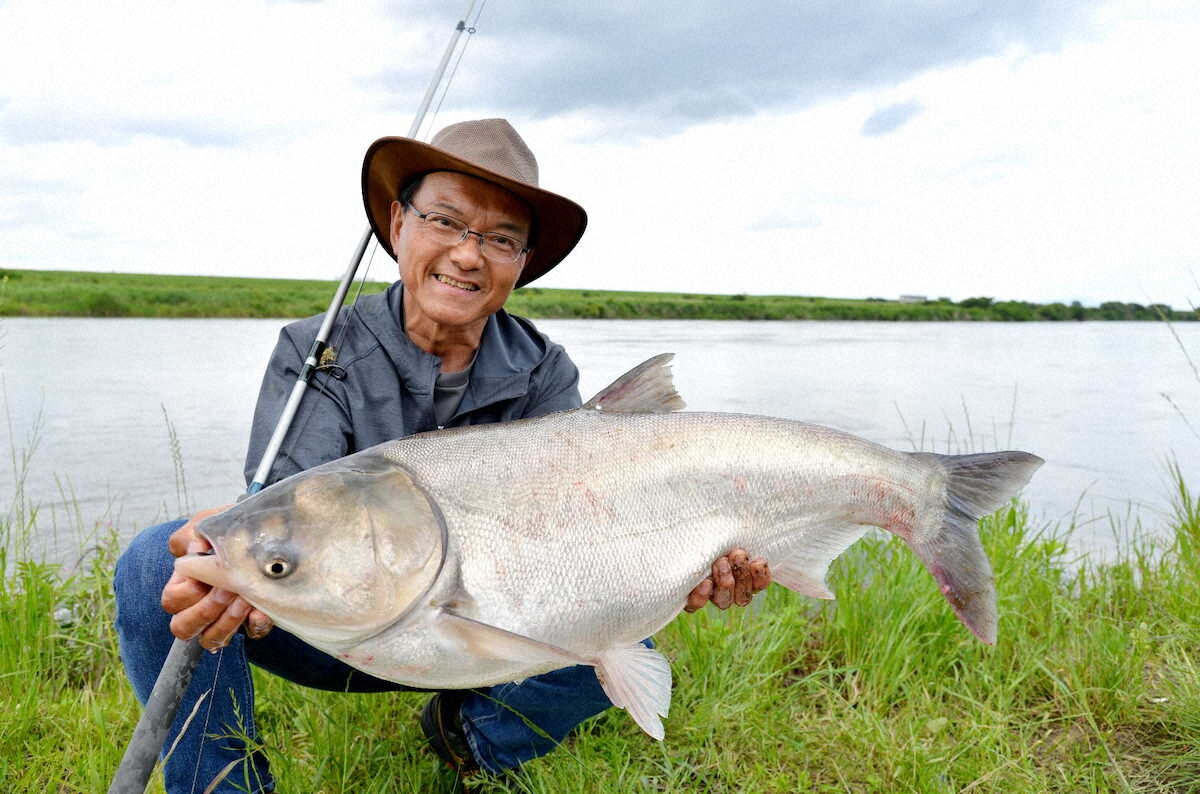 【画像・写真】大物に出会える利根川本流　88センチ10キロ超え！ハクレン