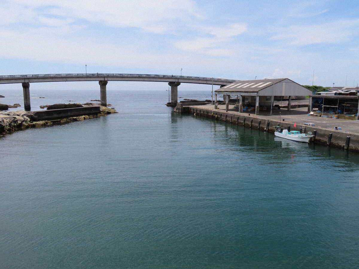 【画像・写真】【千葉・南房総】太平洋一望の橋、実は…「逃げ恥」愛の聖地発見！2人が乗った“星結のブランコ”も