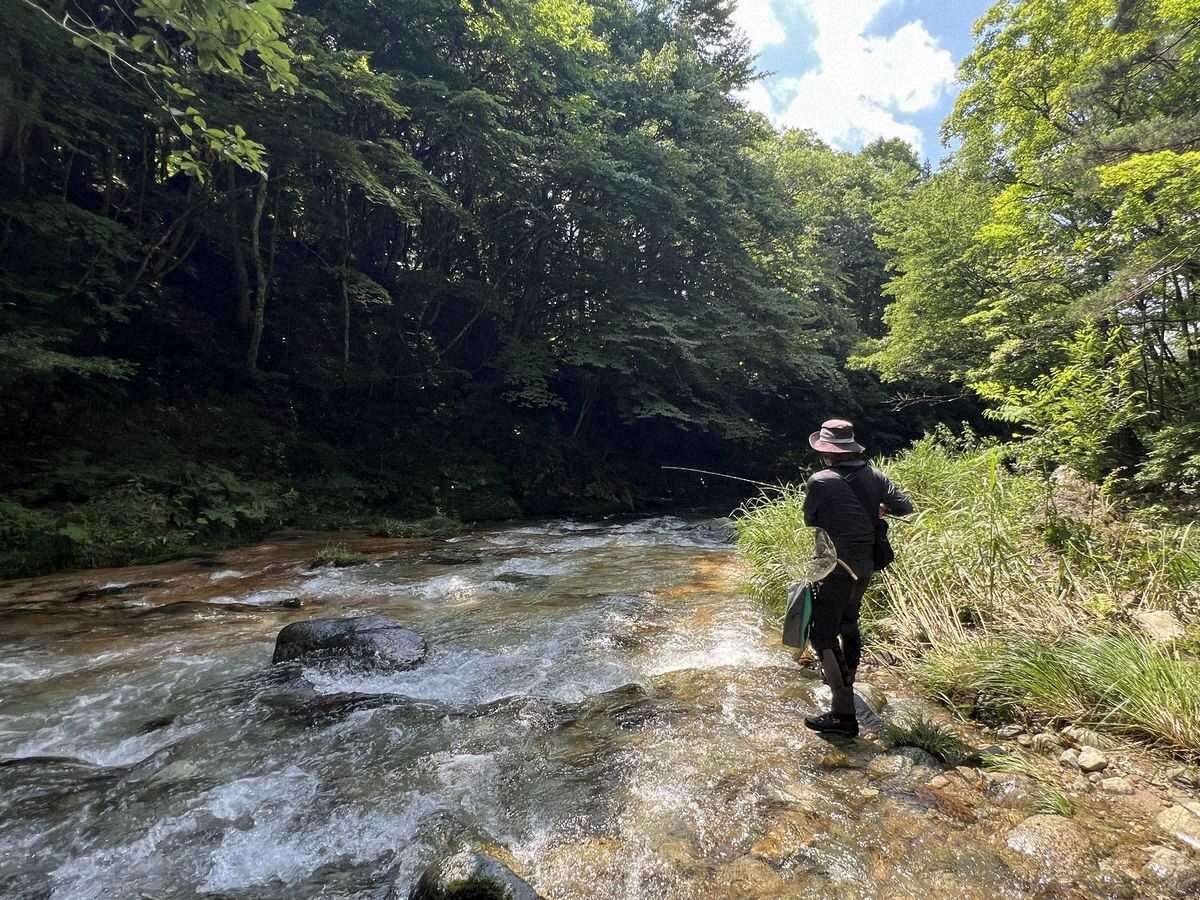 【画像・写真】日本一標高の高い川で名人さすがのテクニック　ルアーでヒット!!16センチ若アユ　日光市・男鹿川