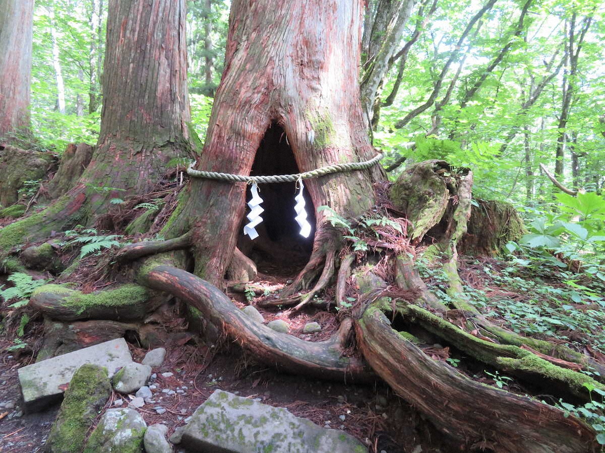 【画像・写真】【長野・戸隠】パワースポット・戸隠神社で五社巡りに挑戦　坂道、階段に苦戦も…“神の世界”に感動