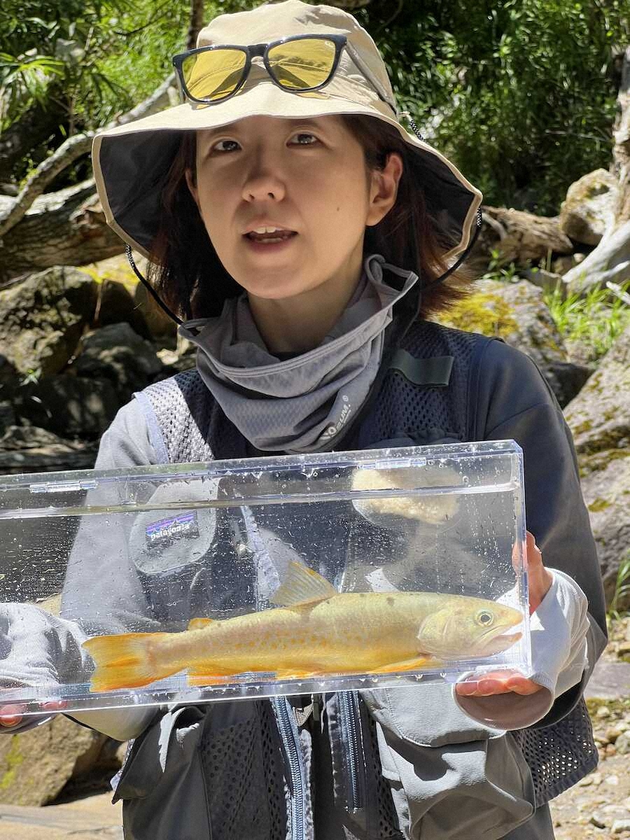 【画像・写真】鬼怒川最上流よりさらに上流で…ニッコウイワナの原種に出合えた
