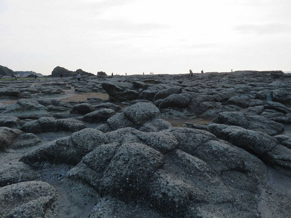 【画像・写真】【秋田～青森】白神山地と日本海　「リゾートしらかみ」で五能線の絶景堪能　駅でバスケ体験も