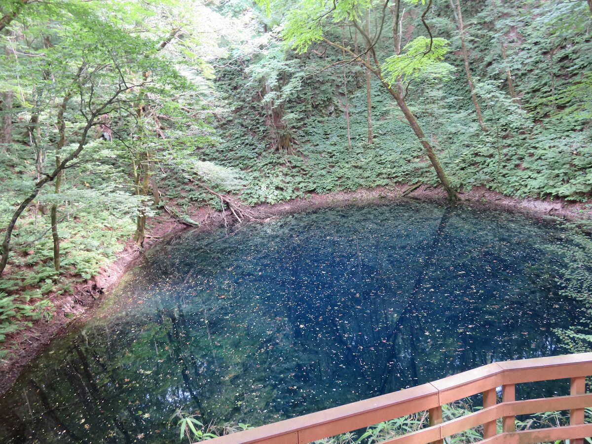 【画像・写真】【秋田～青森】神秘の青さにうっとり…「十二湖」青池、湧壺の池で癒しのひととき