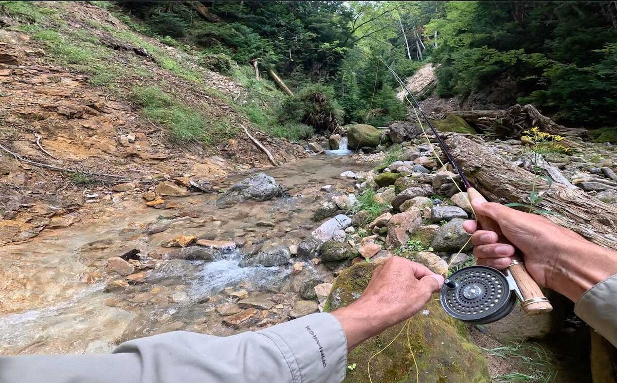 【画像・写真】ニッコウイワナを後世へ　C&R区間設定で保護