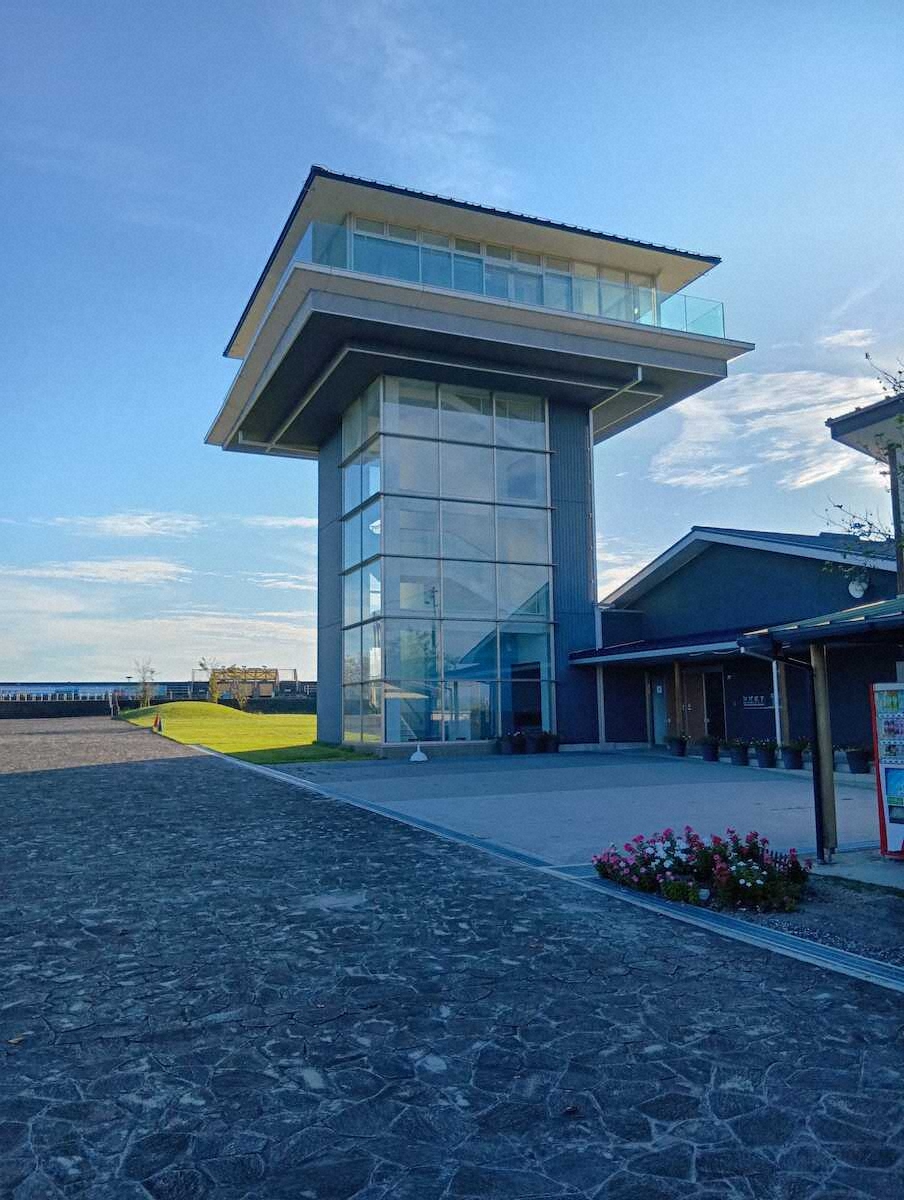 【画像・写真】【佐賀】こちらも赤！干潟を彩る“海の紅葉”シチメンソウ　見頃は10月下旬から