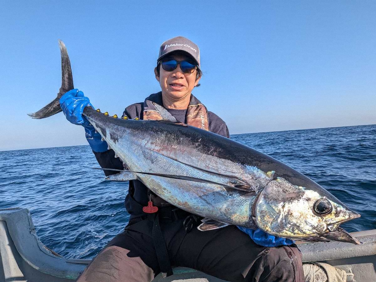 【画像・写真】三重県・志摩沖　トンジギシーズンが開幕　18キロのビンチョウマグロ