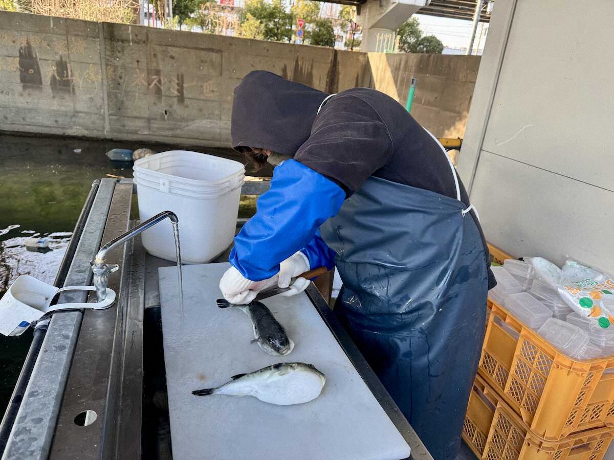 【画像・写真】浅場フグ攻略　“八度目の正直”　イメトレ完璧も思った以上に繊細