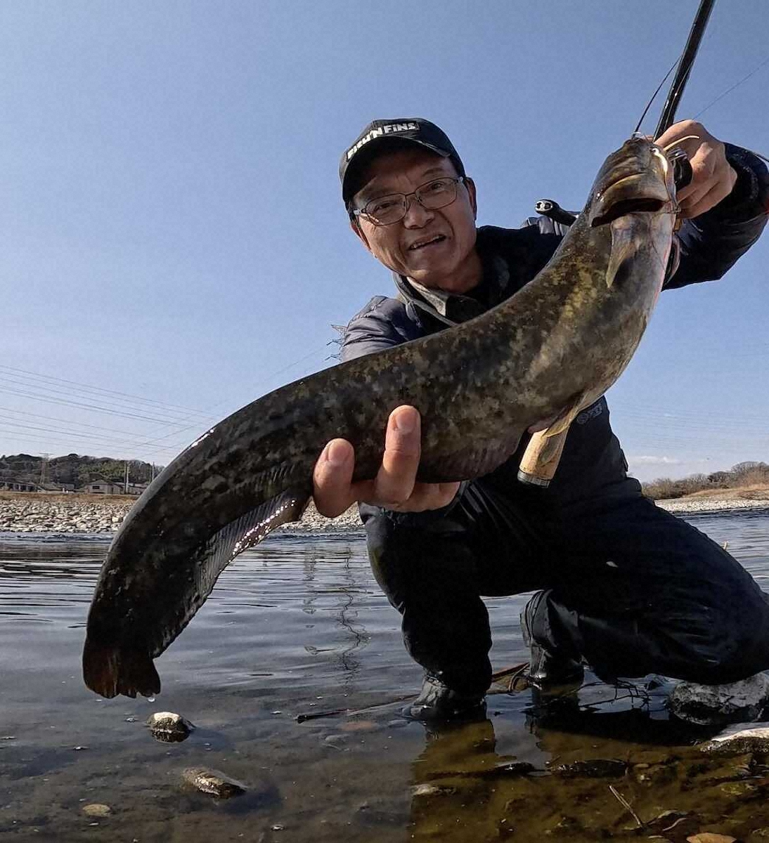 【画像・写真】バス不発も60センチナマズでまずまず　おなじみ多摩川の下流・府中市でも大物狙い