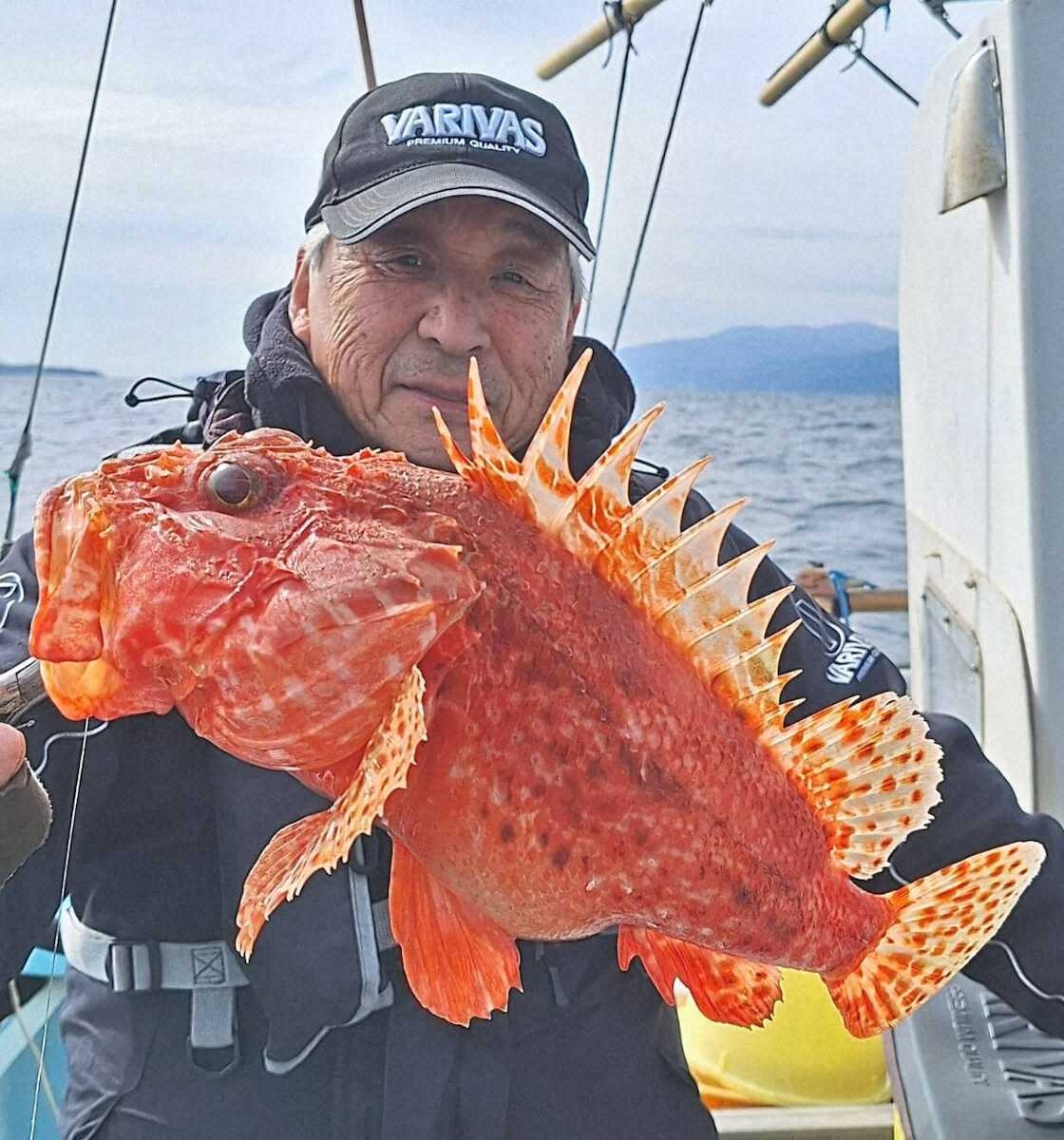 【画像・写真】脂たっぷり良型オニカサゴ連発！特餌・豚トロ切り身が威力発揮　神奈川・真鶴沖