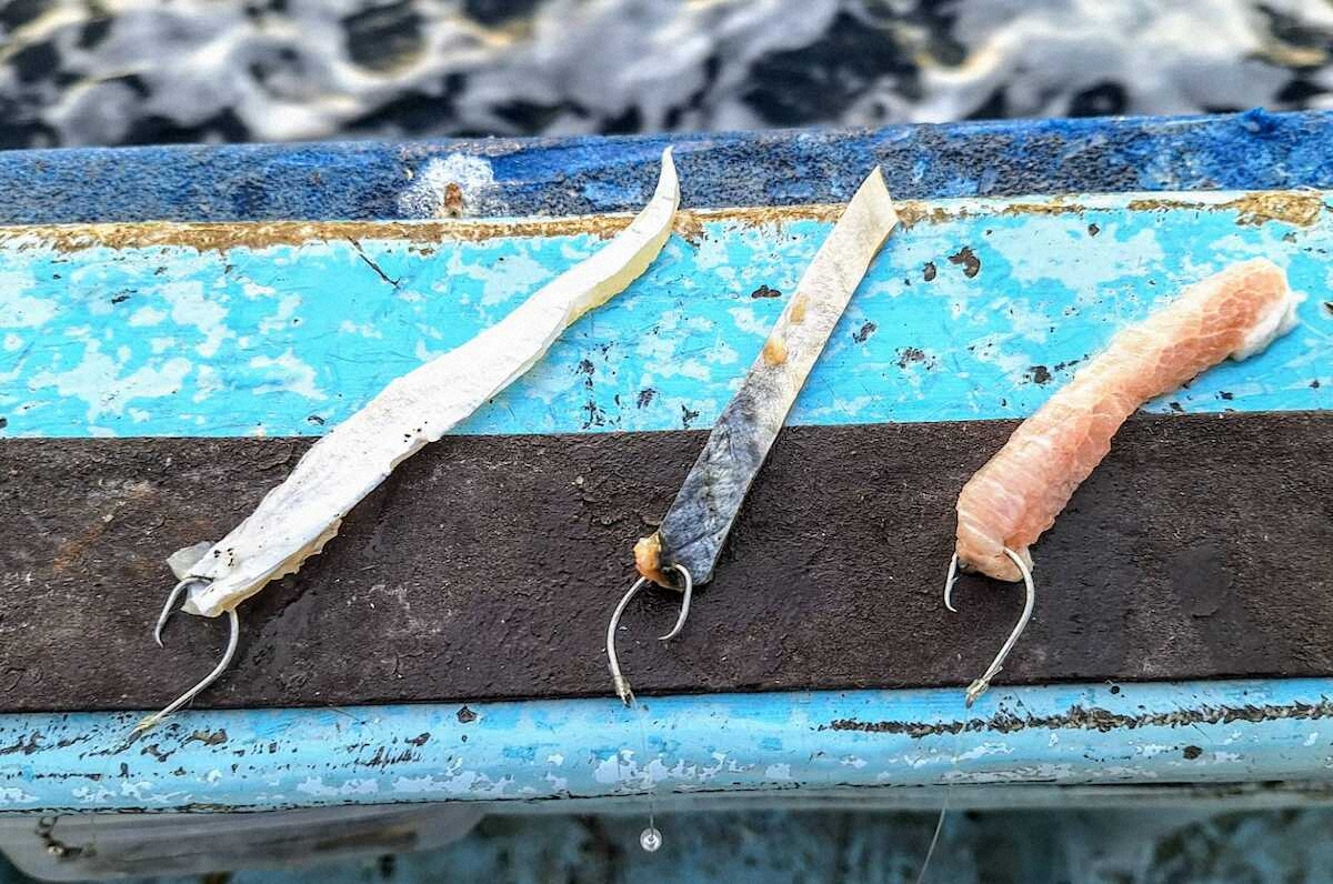 【画像・写真】脂たっぷり良型オニカサゴ連発！特餌・豚トロ切り身が威力発揮　神奈川・真鶴沖