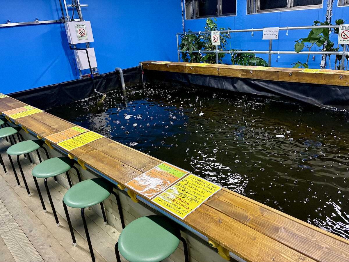 【画像・写真】14センチのエビに“えびす顔”　活性高いけど苦手な“慎重系”で奮闘