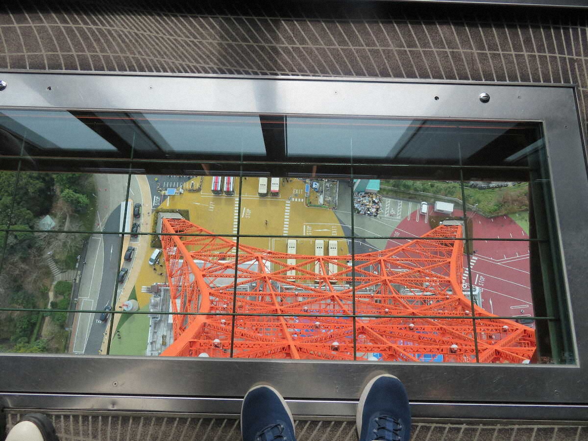 【画像・写真】【東京】東京タワー満喫！高さ150m「スカイウォークウィンドウ」はスリル満点、23区最高所の神社も