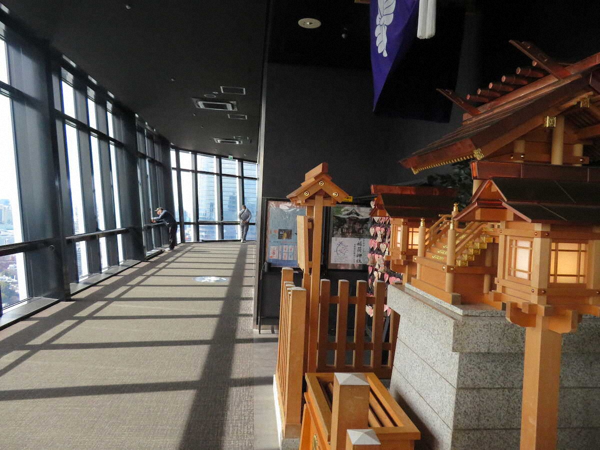 【画像・写真】【東京】東京タワー満喫！高さ150m「スカイウォークウィンドウ」はスリル満点、23区最高所の神社も