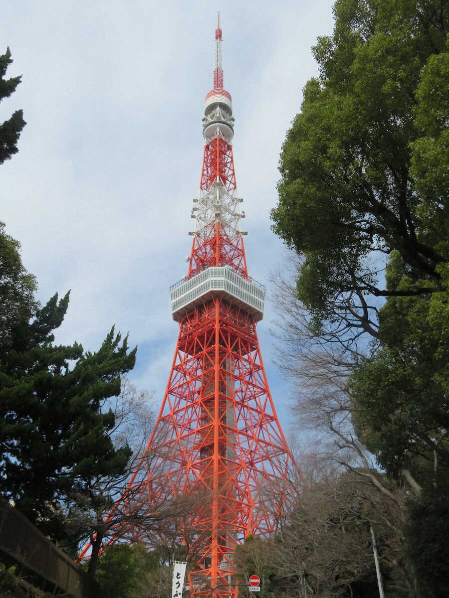 【画像・写真】【東京】東京タワー満喫！高さ150m「スカイウォークウィンドウ」はスリル満点、23区最高所の神社も