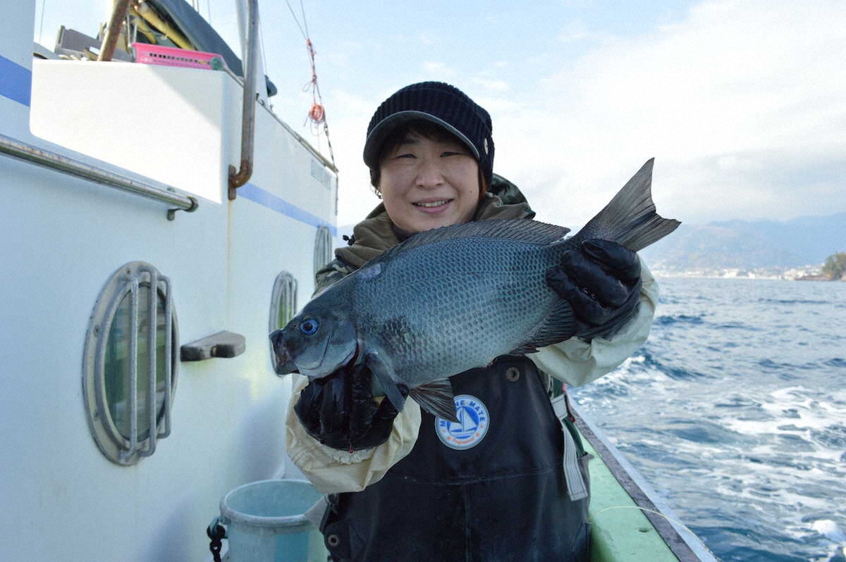 【画像・写真】春のマダイそろそろ本番　「ドン」と来た2キロ半　船長と連携プレー