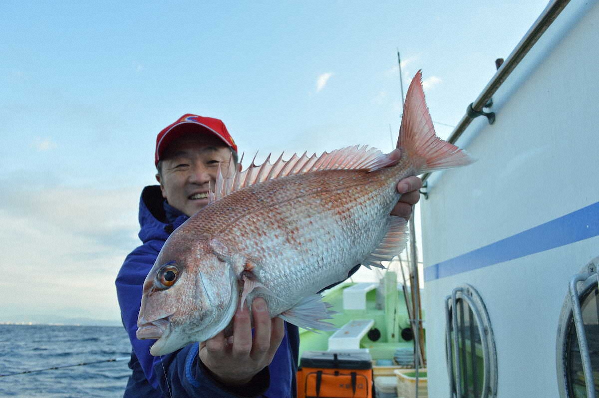【画像・写真】春のマダイそろそろ本番　「ドン」と来た2キロ半　船長と連携プレー