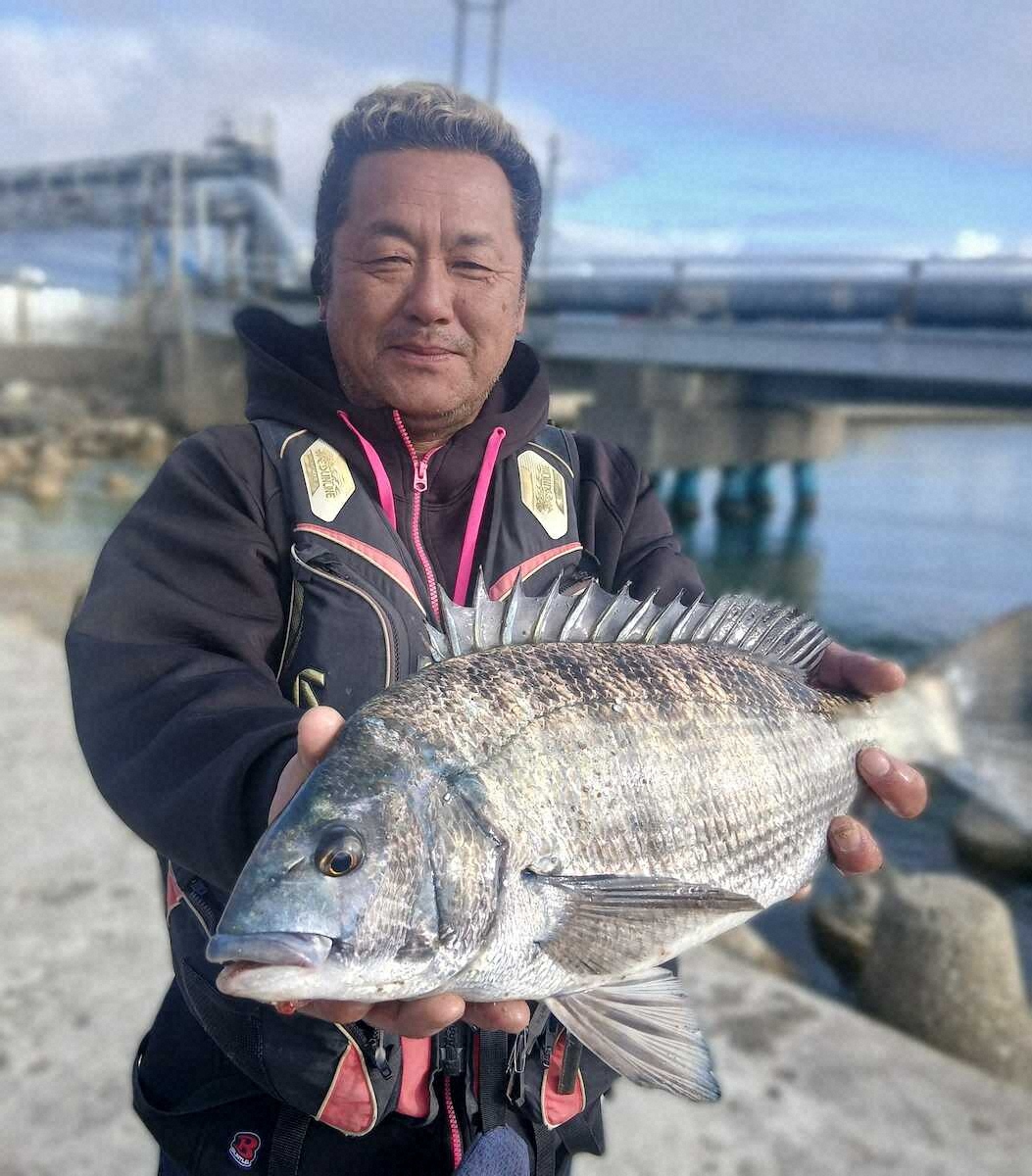 【画像・写真】執念の48センチ　春クロダイ　食い渋りの中引き抜きニヤリ