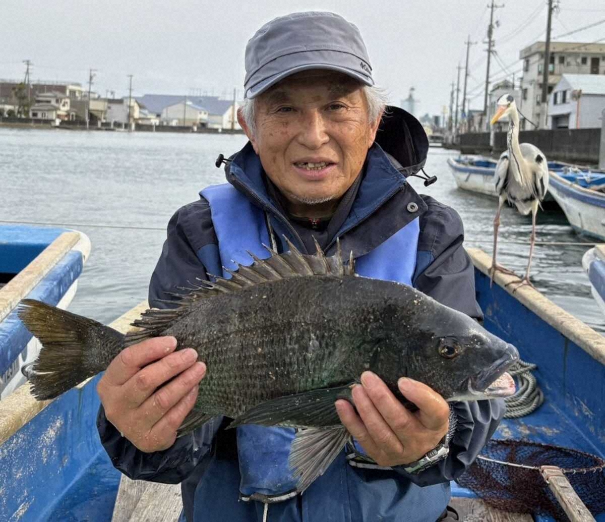 【画像・写真】春の訪れ　大きさも数もぐんぐん上昇