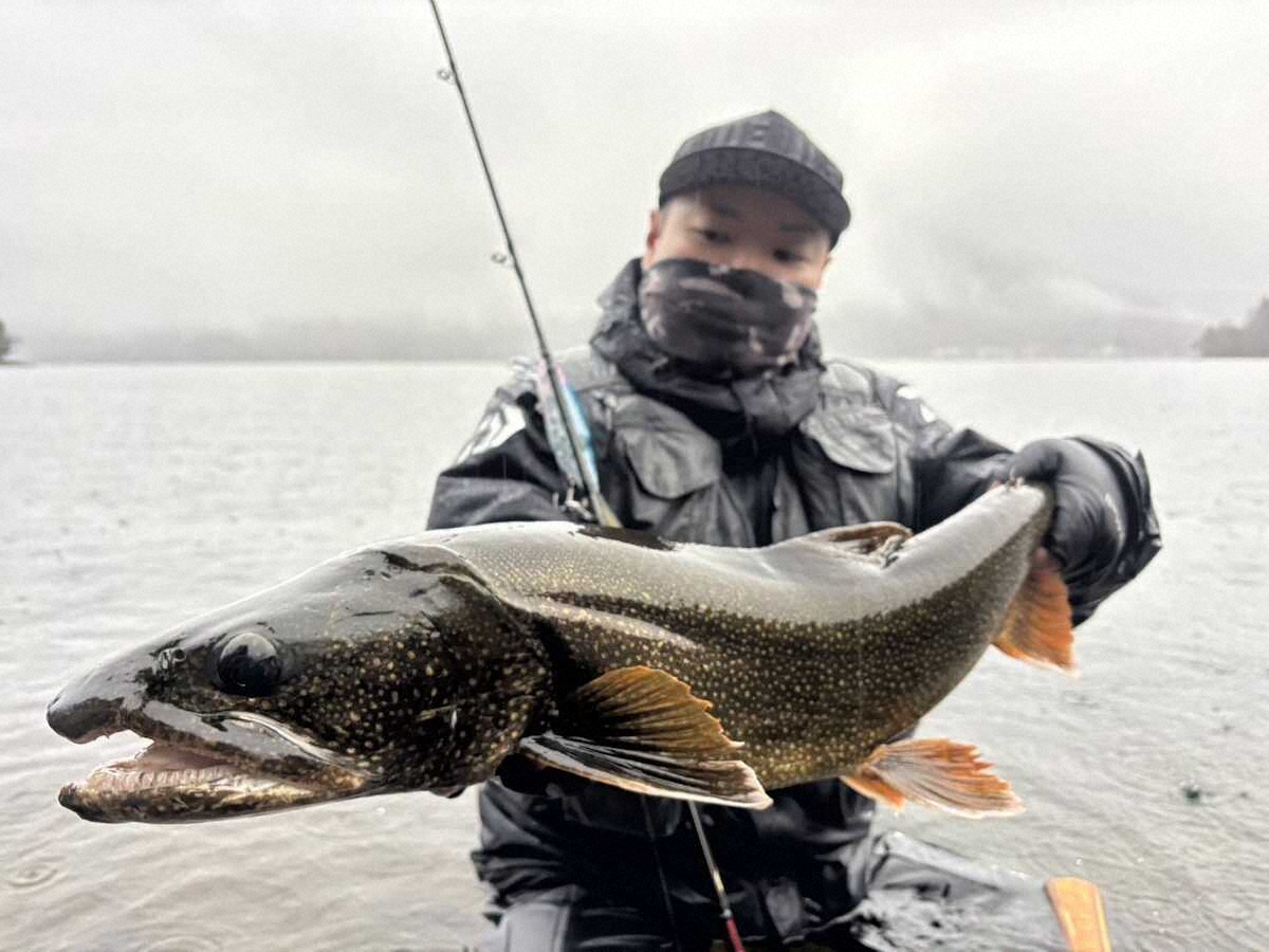 【画像・写真】春の訪れ　大きさも数もぐんぐん上昇