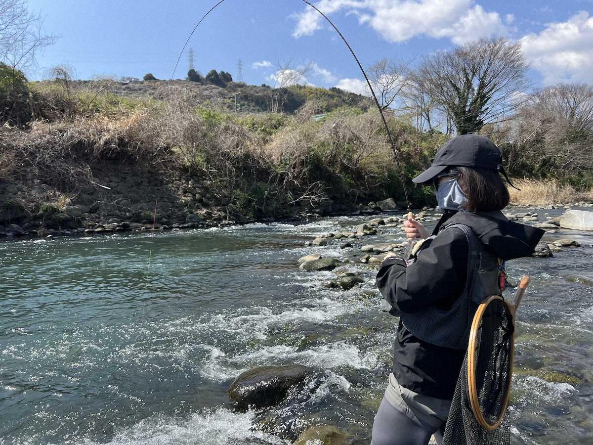 【画像・写真】ニジマス“春爆”19匹　C&Rの恩恵
