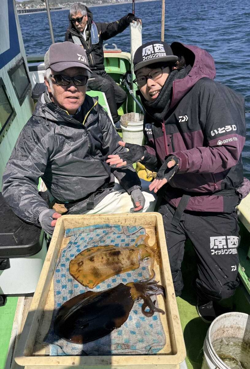 【画像・写真】うらやましい～アオリイカ1.5キロ　シャクリ再挑戦も“合わず”