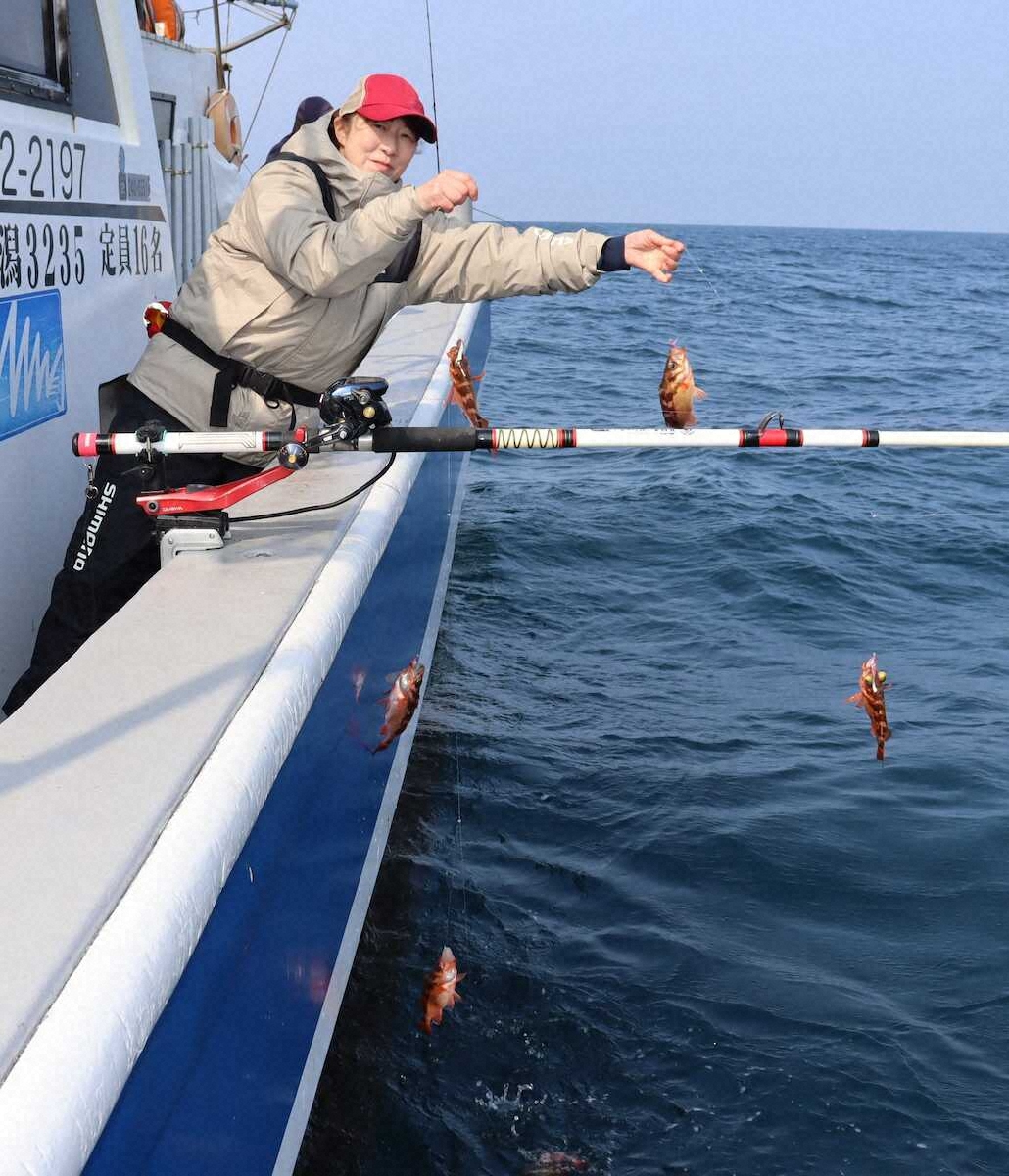 【画像・写真】「春告魚」沖メバル　ズラリ9点掛け　静かに待つだけ　目を見張る釣果